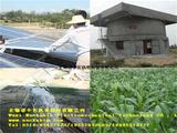 光伏水泵应用于农业种植